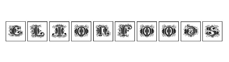 SilvestreInitialsSquares  Free Fonts Download
