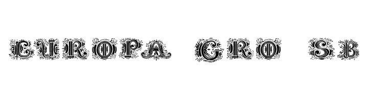 SilvestreInitials  Free Fonts Download