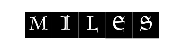 GoudamentBricks  Free Fonts Download