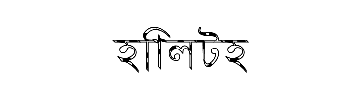 Progoty Cow  Free Fonts Download