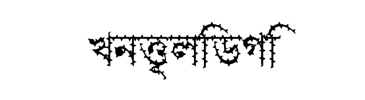 Progoty Cactus  Free Fonts Download