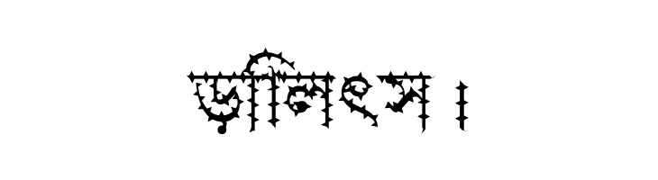 Progoty Cactus  Free Fonts Download