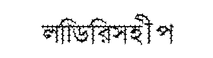 Progoty Cactus  Free Fonts Download