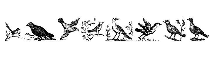 VeryOldBirds  Free Fonts Download