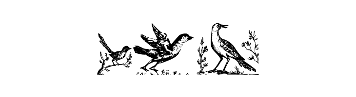 VeryOldBirds  Free Fonts Download