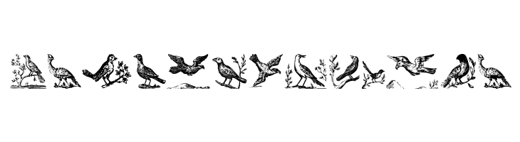 VeryOldBirds  Free Fonts Download