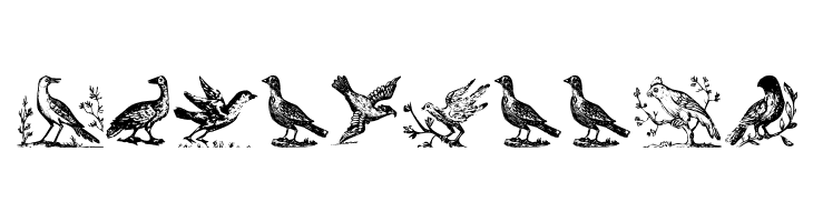 VeryOldBirds  Free Fonts Download