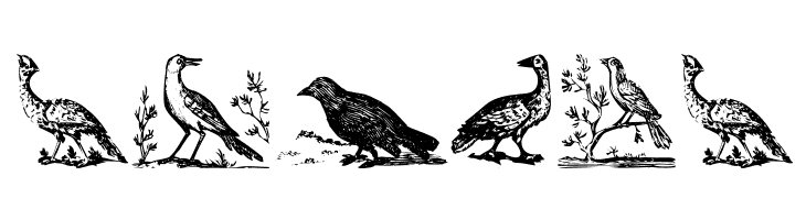 VeryOldBirds  Free Fonts Download