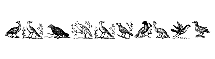 VeryOldBirds  Free Fonts Download