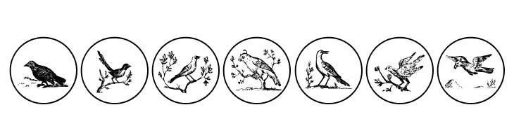 OldBirdsTwo  Free Fonts Download