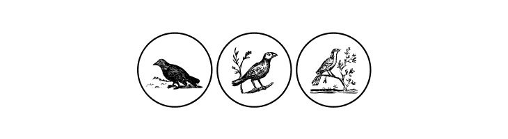OldBirdsTwo  Free Fonts Download