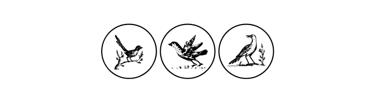 OldBirdsTwo  Free Fonts Download