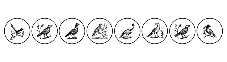 OldBirdsTwo  Free Fonts Download