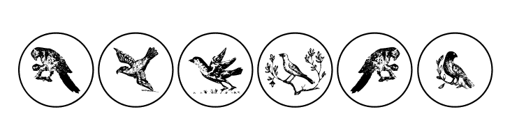 OldBirdsTwo  Free Fonts Download