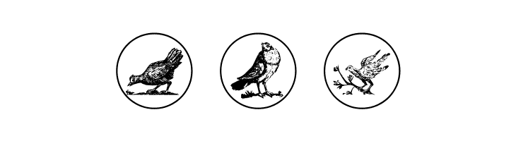 OldBirdsTwo  Free Fonts Download