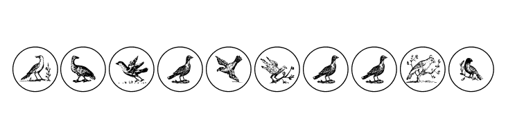 OldBirdsTwo  Free Fonts Download