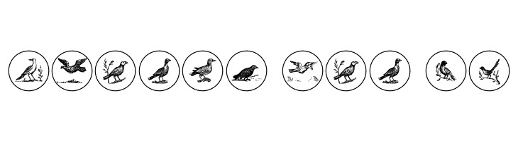 OldBirdsTwo  Free Fonts Download