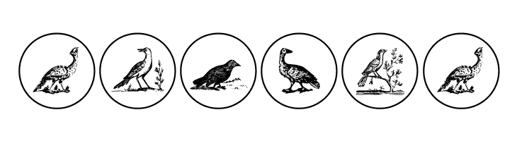 OldBirdsTwo  Free Fonts Download