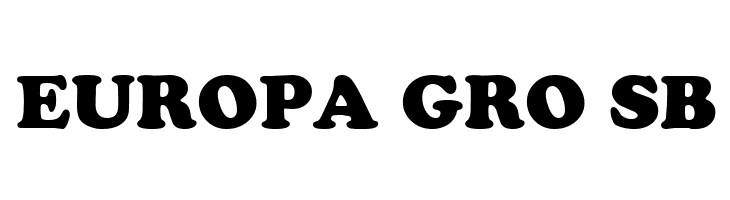 VI Thuy Tien Hoa  Free Fonts Download
