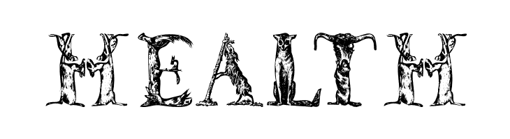 LettersAnimales  Free Fonts Download
