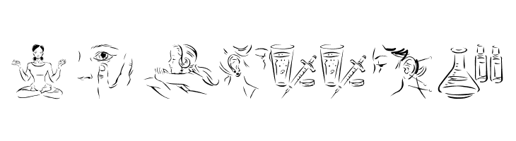 WellnessBoom  Free Fonts Download