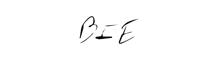 schleterian  Free Fonts Download