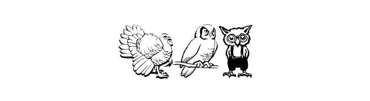 OwlsAndMore  Free Fonts Download