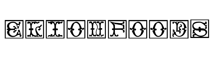 VictorianInitialsOne  Free Fonts Download