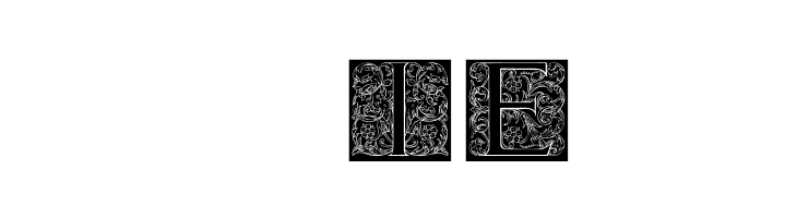 TorynitialenInversed  Free Fonts Download