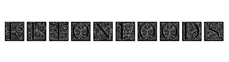 TorynitialenInversed  Free Fonts Download