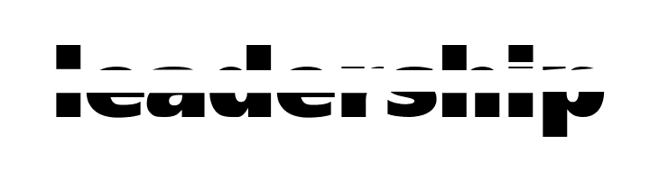 BlackGapSans  Free Fonts Download