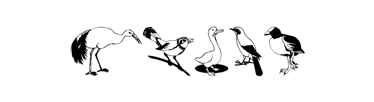 BirdsOSeven  Free Fonts Download