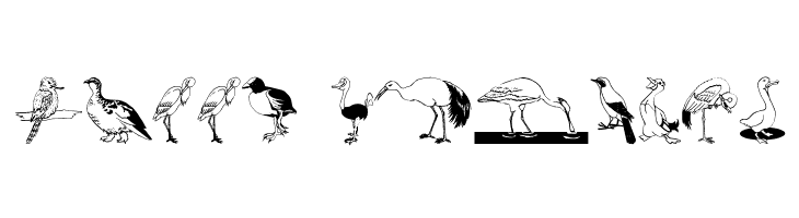BirdsOSeven  Free Fonts Download