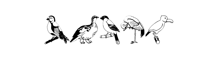BirdsOSeven  Free Fonts Download
