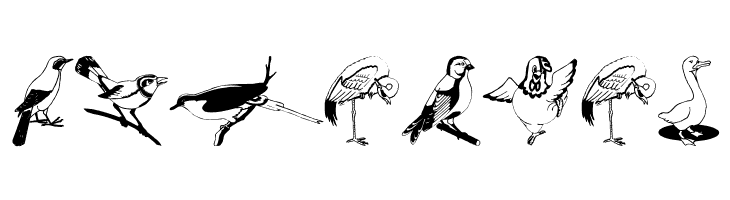BirdsOSeven  Free Fonts Download