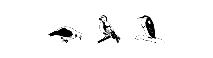 BirdsOSeven  Free Fonts Download