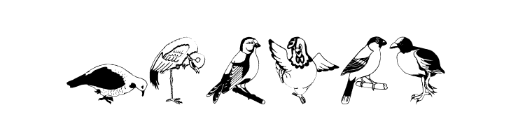 BirdsOSeven  Free Fonts Download