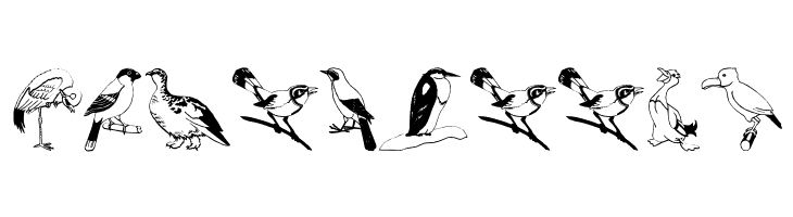 BirdsOSeven  Free Fonts Download
