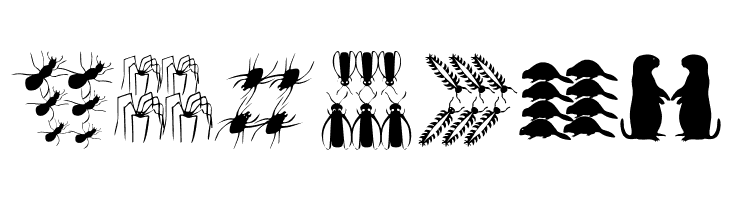 DueTresQuattro  Free Fonts Download