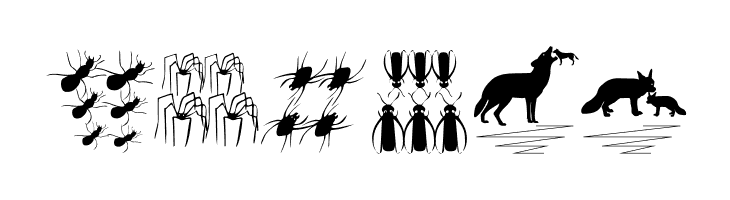 DueTresQuattro  Free Fonts Download