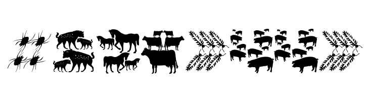 DueTresQuattro  Free Fonts Download