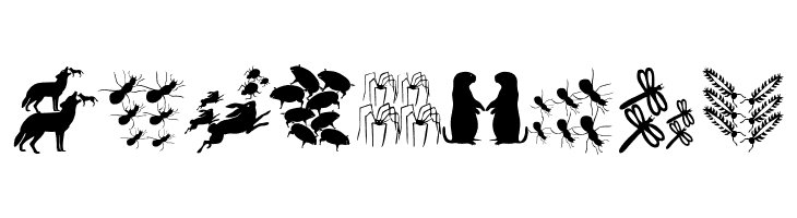 DueTresQuattro  Free Fonts Download