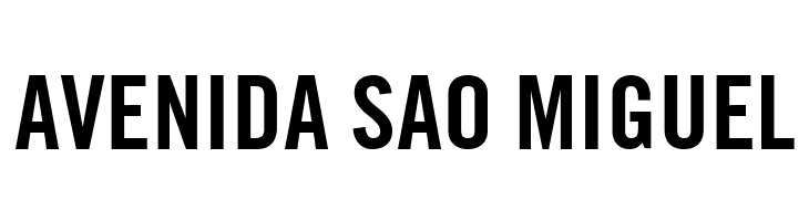 TraditionellSans-Bold  Free Fonts Download