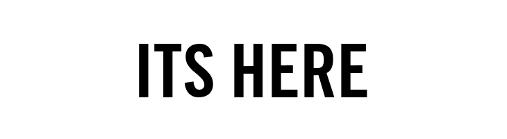 TraditionellSans-Bold  Free Fonts Download