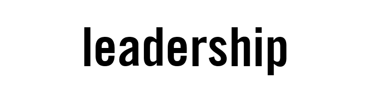 TraditionellSans-Bold  Free Fonts Download