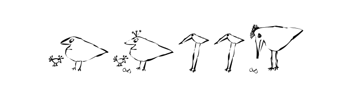 SaulsRandomBirds  Free Fonts Download