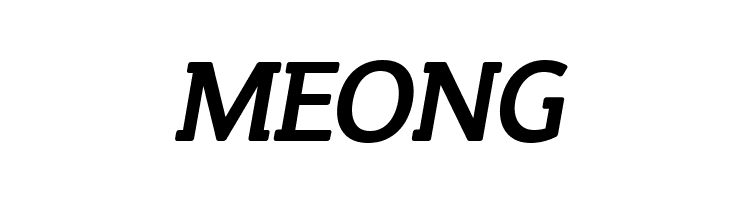 Steinem-Bold Italic  Free Fonts Download