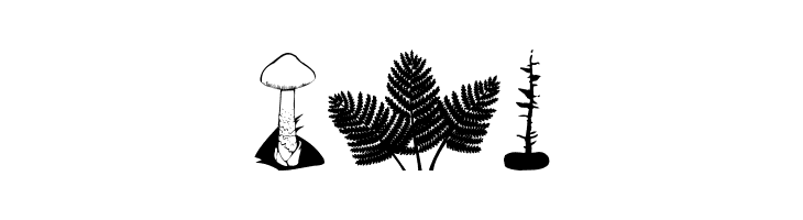 BotanishAndRelatives  Free Fonts Download