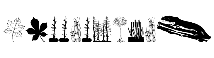 BotanishAndRelatives  Free Fonts Download