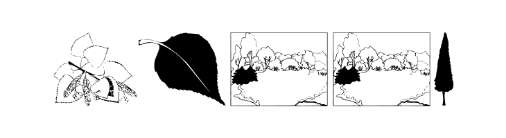 BotanishAndRelatives  Free Fonts Download